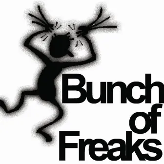 Bunch Of Freaks by Boza