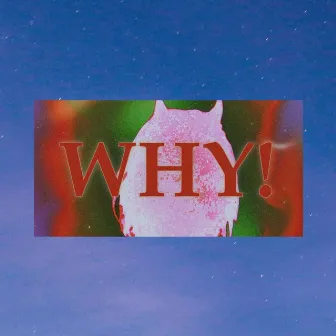 WHY! by ProdMiz