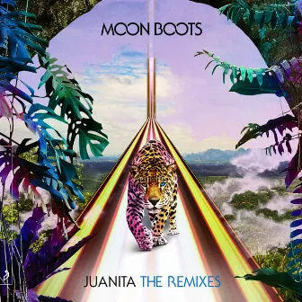 Juanita (The Remixes) by Bawrut