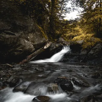 Water Stream Calming Watery Ambience (Loopable) by Frauke Rotwein