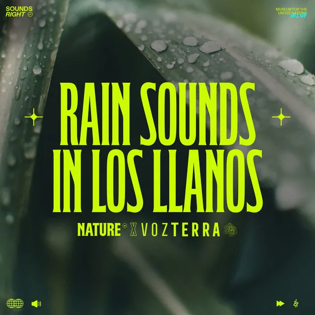 Rain Sounds In Los Llanos