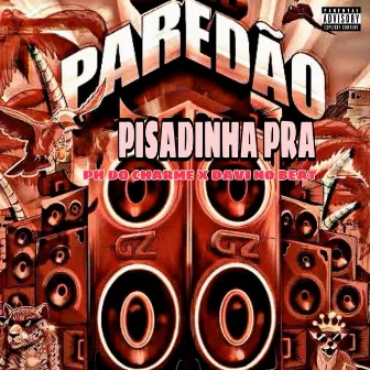 De Pisadinha pra Paredão by Davi no Beat