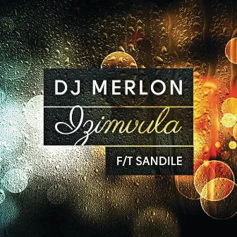 Izimvula (Extended) by DJ Merlon