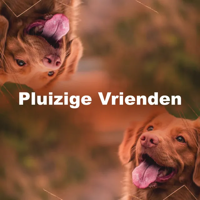 Pluizige Vrienden