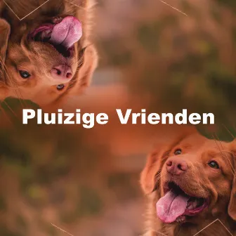 Pluizige Vrienden by Honden Muziek