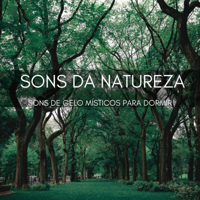 Sons Da Natureza: Sons De Gelo Místicos Para Dormir