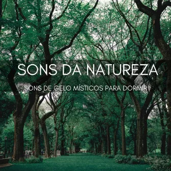 Sons Da Natureza: Sons De Gelo Místicos Para Dormir by Experiência Musical Adormecida