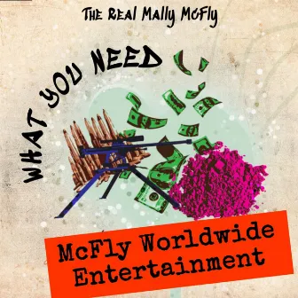 What You Need by The Real Mally McFly