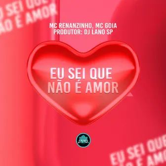 Eu Sei Que Não É Amor by MC Goia