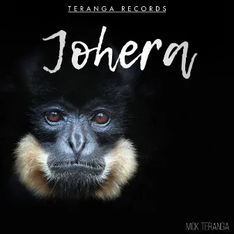 Johera by Mck Teranga