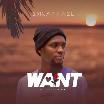 Want by Emkay Fael