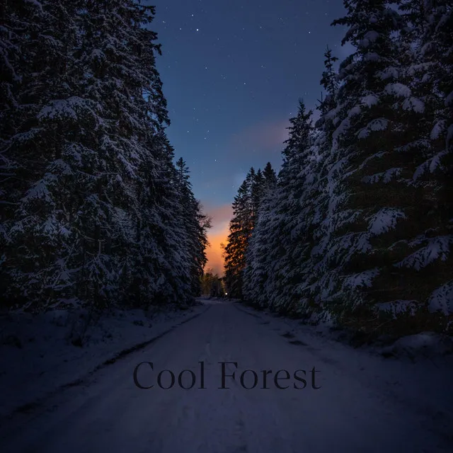 Cool Forest