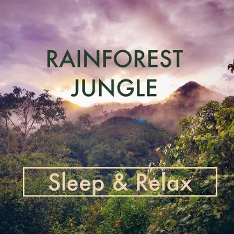 Rainforest Jungle Sounds - Sleep & Relax by Sleep & Relax