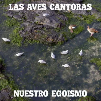 Nuestro Egoísmo by Las Aves Cantoras