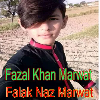 Nora Biya Cha Karay Da by Falak Naz Marwat