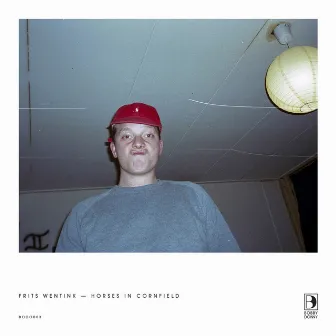 Horses in Cornfield - EP by Frits Wentink