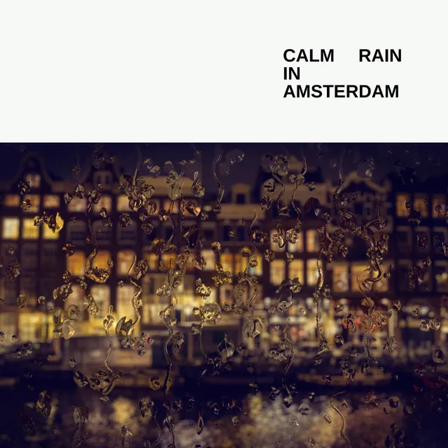 Calm Rain In Amsterdam