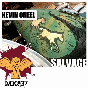 Salvage by Kevin Oneel