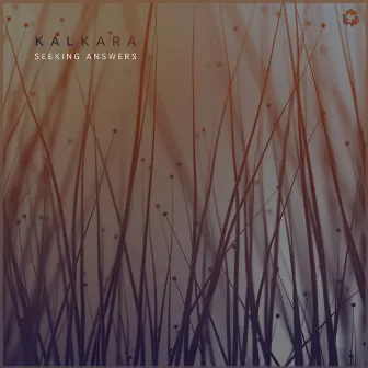 Seeking Answers by Kalkara