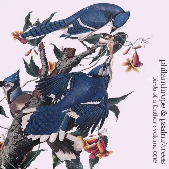 Birds of a Feather, Vol. 1 by Psalm Trees