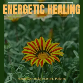 Energetic Healing - Nature Sounds For Insomnia Patients by Pure White Aura Record