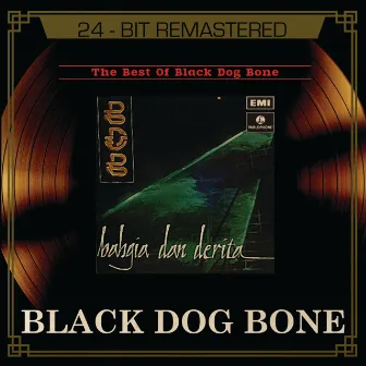 The Best Of BDB by Black Dog Bone