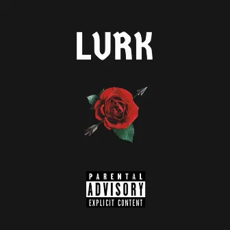 Lurk by Ace