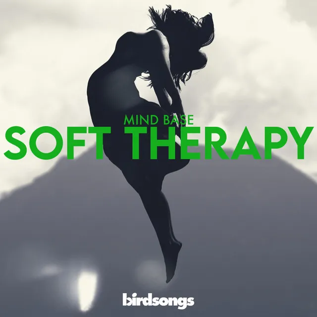 Soft Therapy