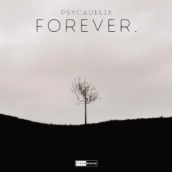 FOREVER by Psycadelix