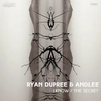 I Know / The Secret by Ryan Dupree