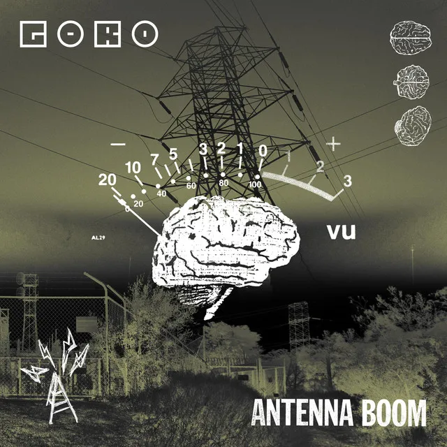 Antenna Boom