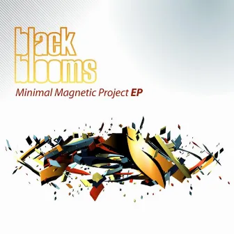 Minimal Magnetic Project Ep by Black Blooms