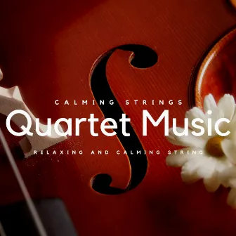 Relaxing and Calming String Quartet Music by Violin Music