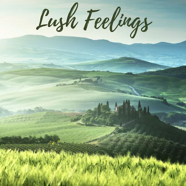 Lush Feelings