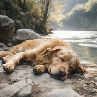 Río Tranquilo: Melodía Calmante Para Perros by Flujo rápido