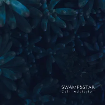 Calm Addiction by SWAMP&STAR