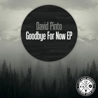 Goodbye For Now EP by David Pinto