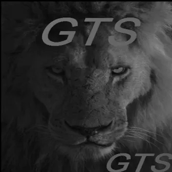 Gts by GTS