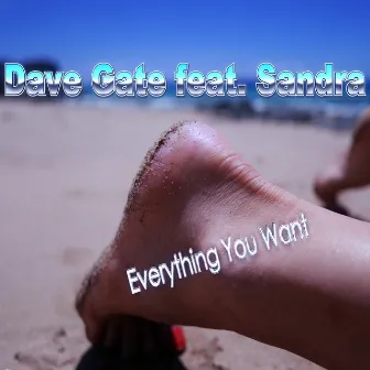 Everything You Want by Dave Gate