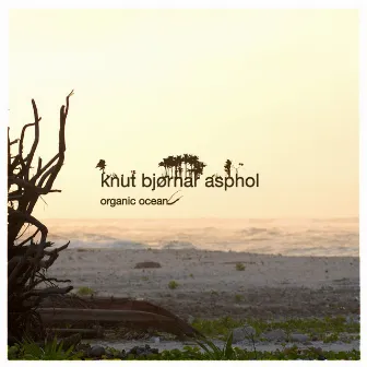 Organic Ocean (Remastered) by Knut Bjørnar Asphol