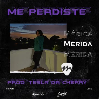 Me Perdiste by Mérida