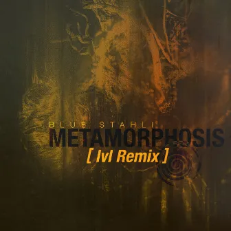 Metamorphosis (lvl Remix) by lvl