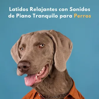 Latidos Relajantes Con Sonidos De Piano Tranquilo Para Perros by Fondo Relajante Jazz