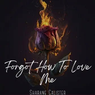 Forgot How to Love Me by Sharane Calister