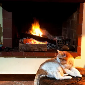 Feline Hearth: Binaural Fire Sounds for Relaxed Cats by Mystical Nature Fire Sounds