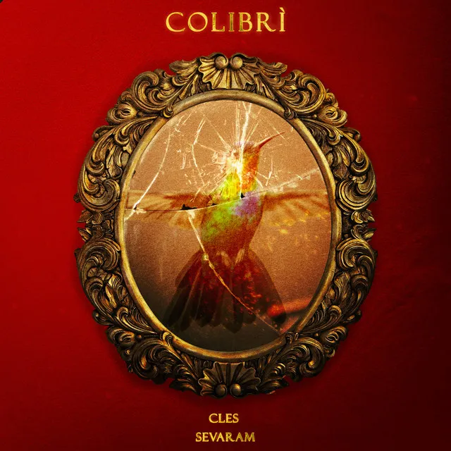 Colibrì