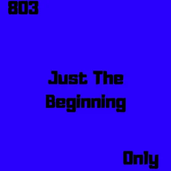 Just The Beginning by 803Only