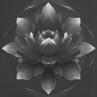 Black Lotus by Zan