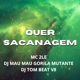 Quer Sacanagem by MC 2LE