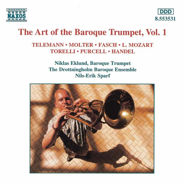 Trumpet Concerto in D Major [with cadenza]: II. Allegro moderato